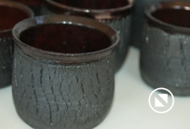 Piusa Savikoda Piusa Savikoda 