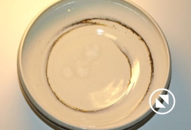 Käsitreitud portselan