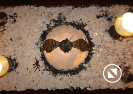 kelle oma on aeg meelis krigul